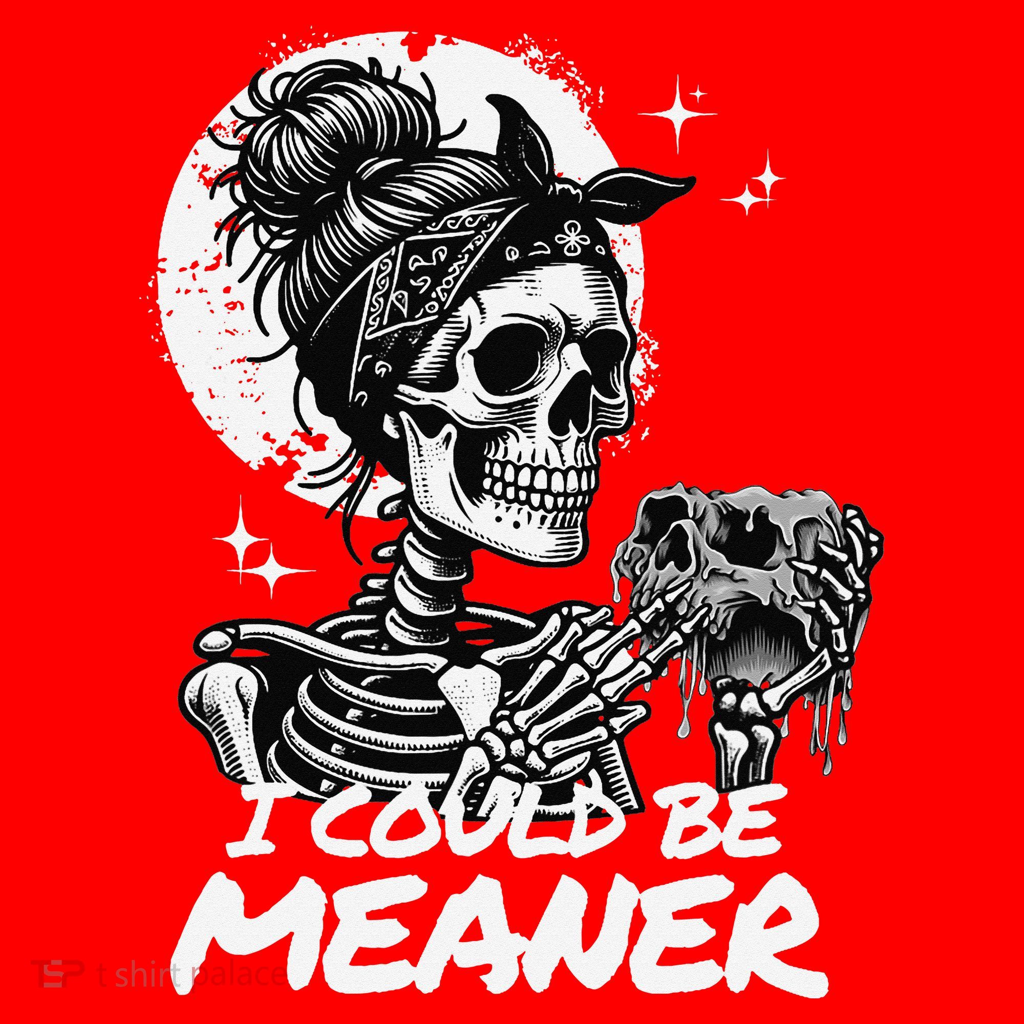 I Could Be Meaner Gift Santa Hat