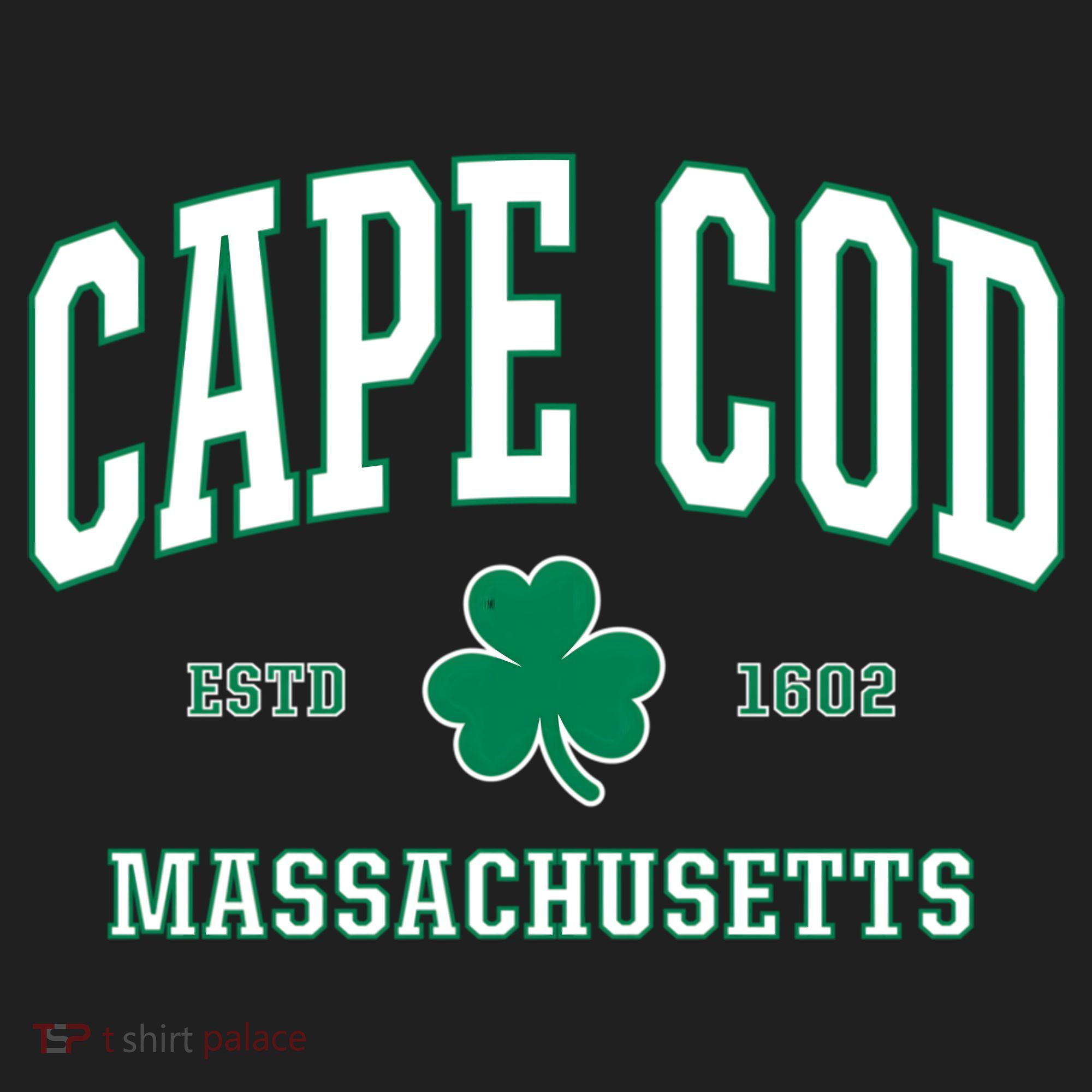 Irish Cape Cod Cute Gift St Patricks Day Gift Mass Usa Beanie