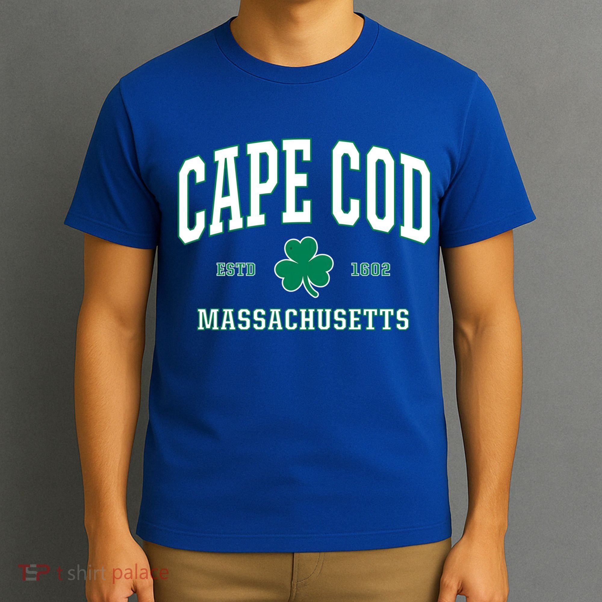 Irish Cape Cod Cute Gift St Patricks Day Gift Mass Usa T-Shirt