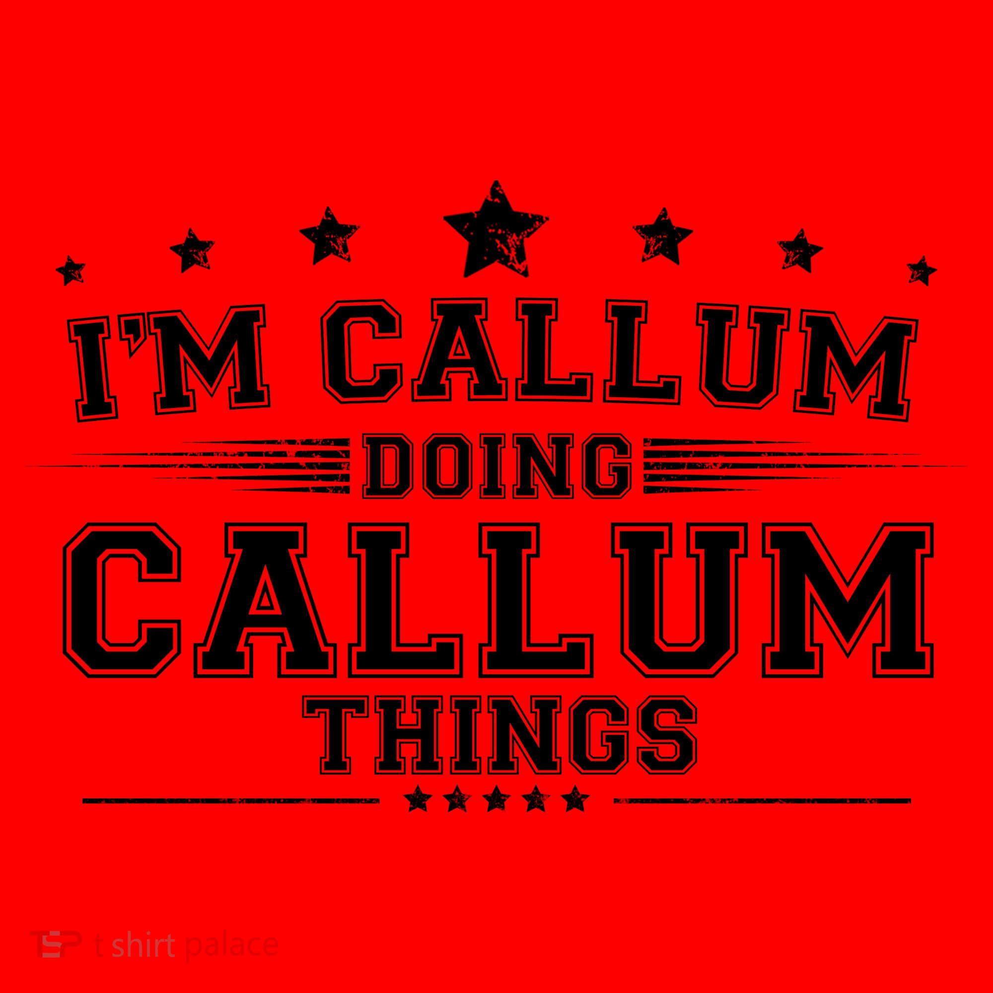 Im Callum Doing Callum Things Santa Hat