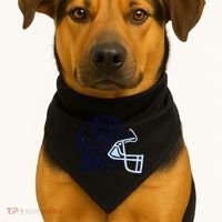 I Can Do All Things Through Christ Football USA-Made Doggie Bandana thumb 1