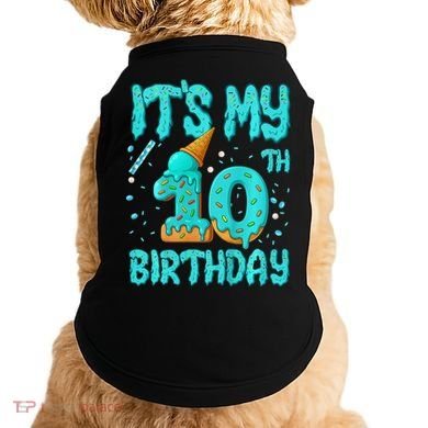 Ice Cream Drip 10th Birthday 10 Years Old Birthday Doggie Tank