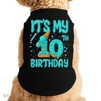 Ice Cream Drip 10th Birthday 10 Years Old Birthday Doggie Tank thumb 0