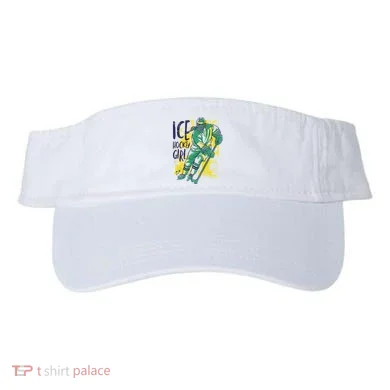 Visor