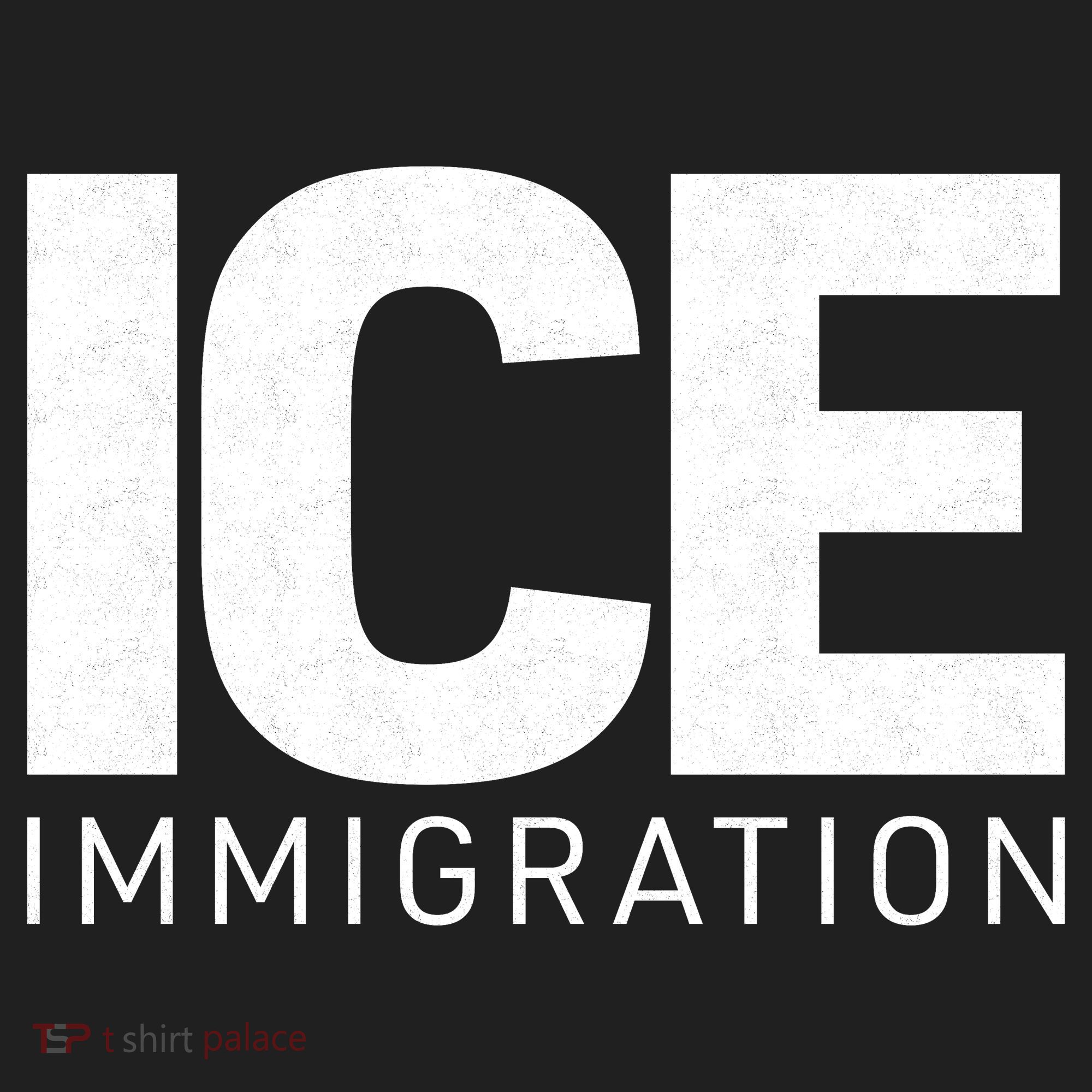 ICE Immigration Hat