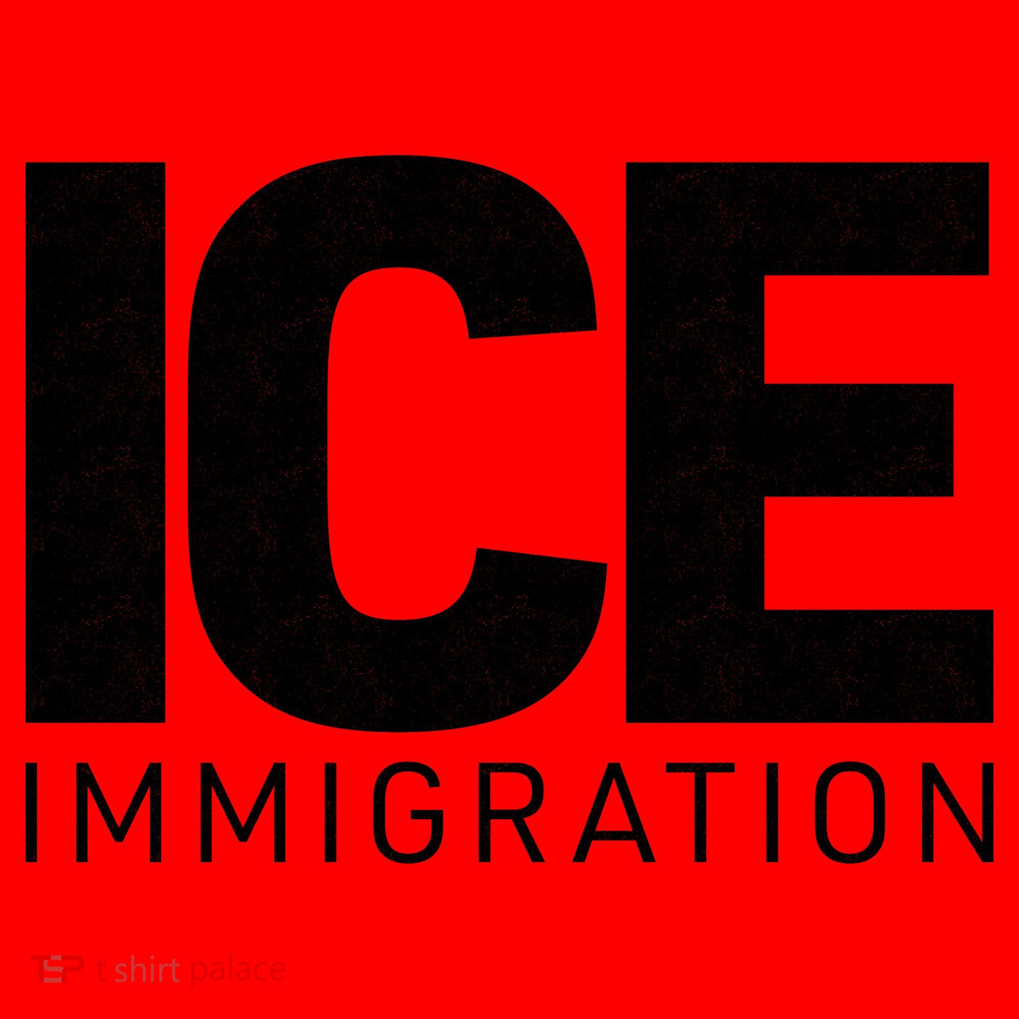 ICE Immigration Santa Hat