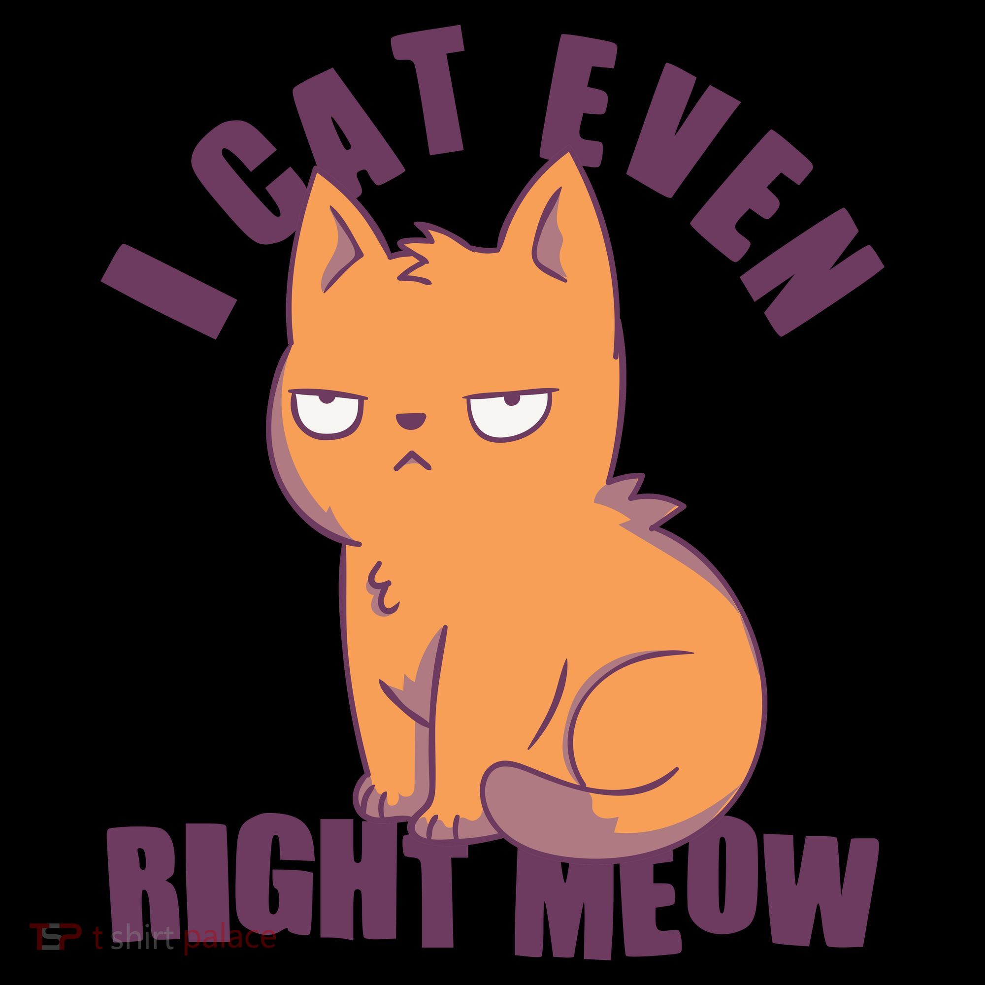 I Can't Even Right Meow Funny Smug Cat Coffee Mug