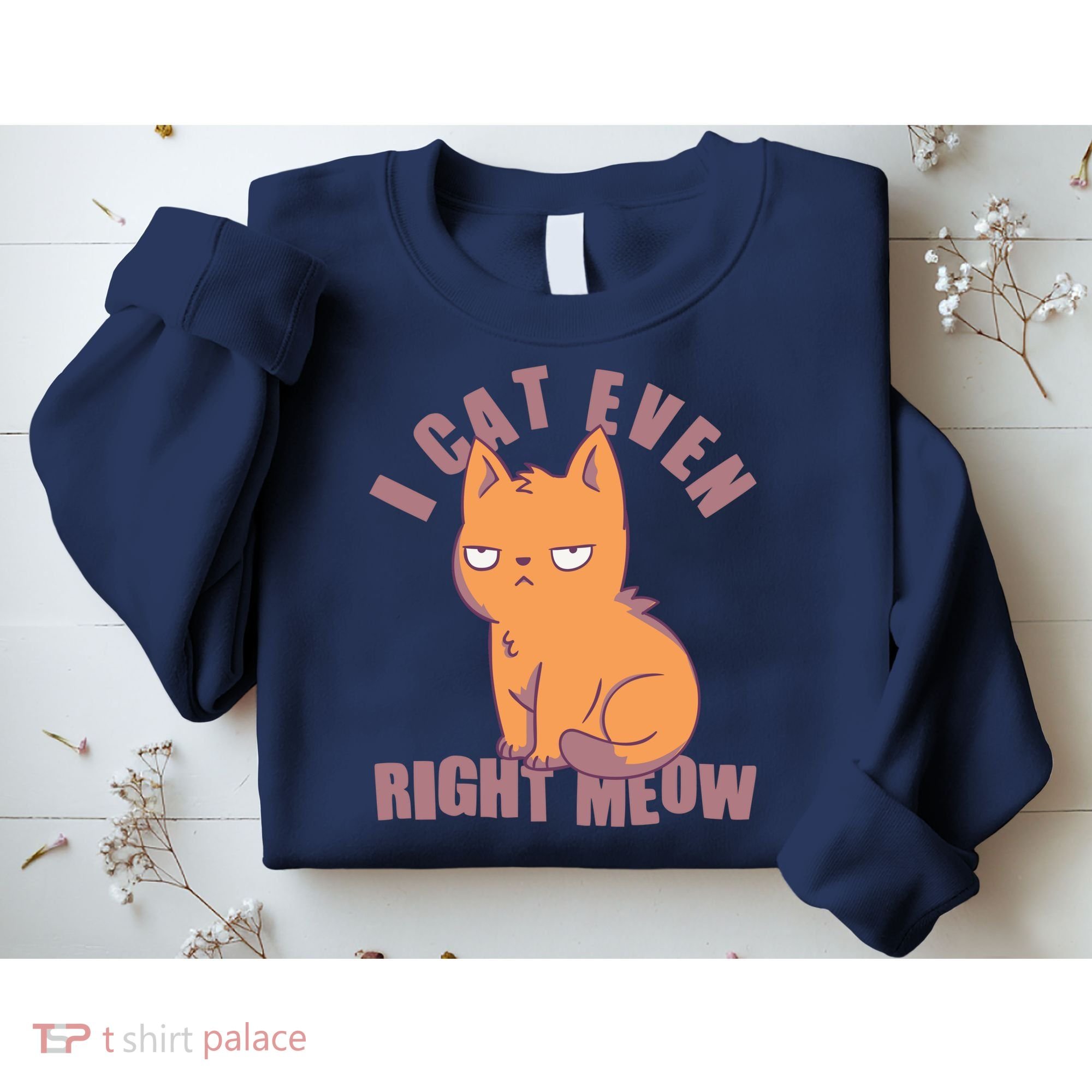I Can't Even Right Meow Funny Smug Cat Sweatshirt