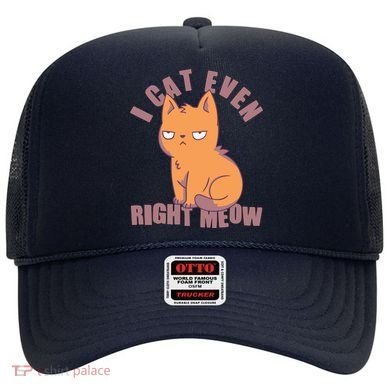 I Can't Even Right Meow Funny Smug Cat Hat