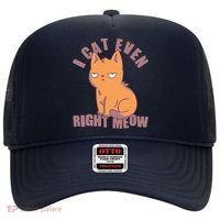 I Can't Even Right Meow Funny Smug Cat Hat thumb 0