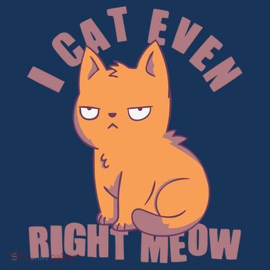 I Can't Even Right Meow Funny Smug Cat Women's V-Neck T-Shirt