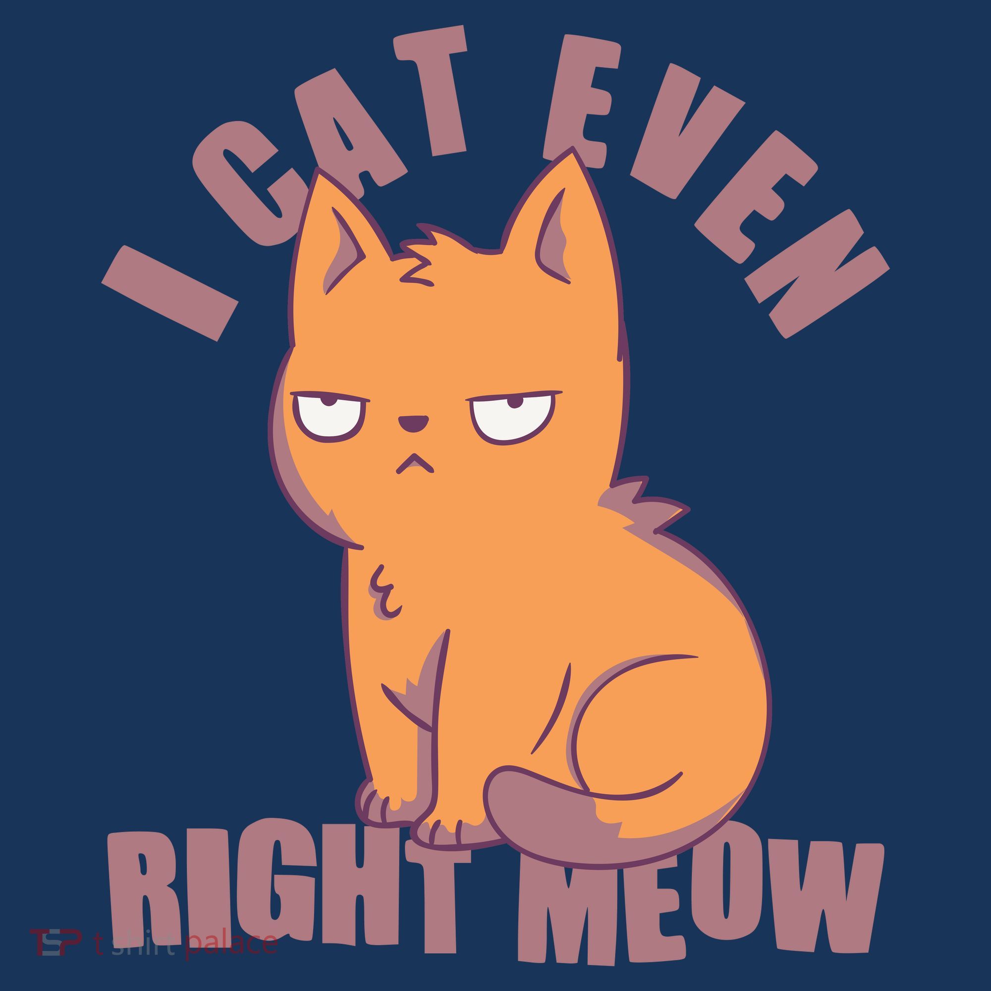 I Can't Even Right Meow Funny Smug Cat Kids Hoodie