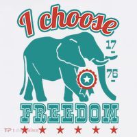 I Choose Freedom Republican Political Women's Hoodie thumb 2