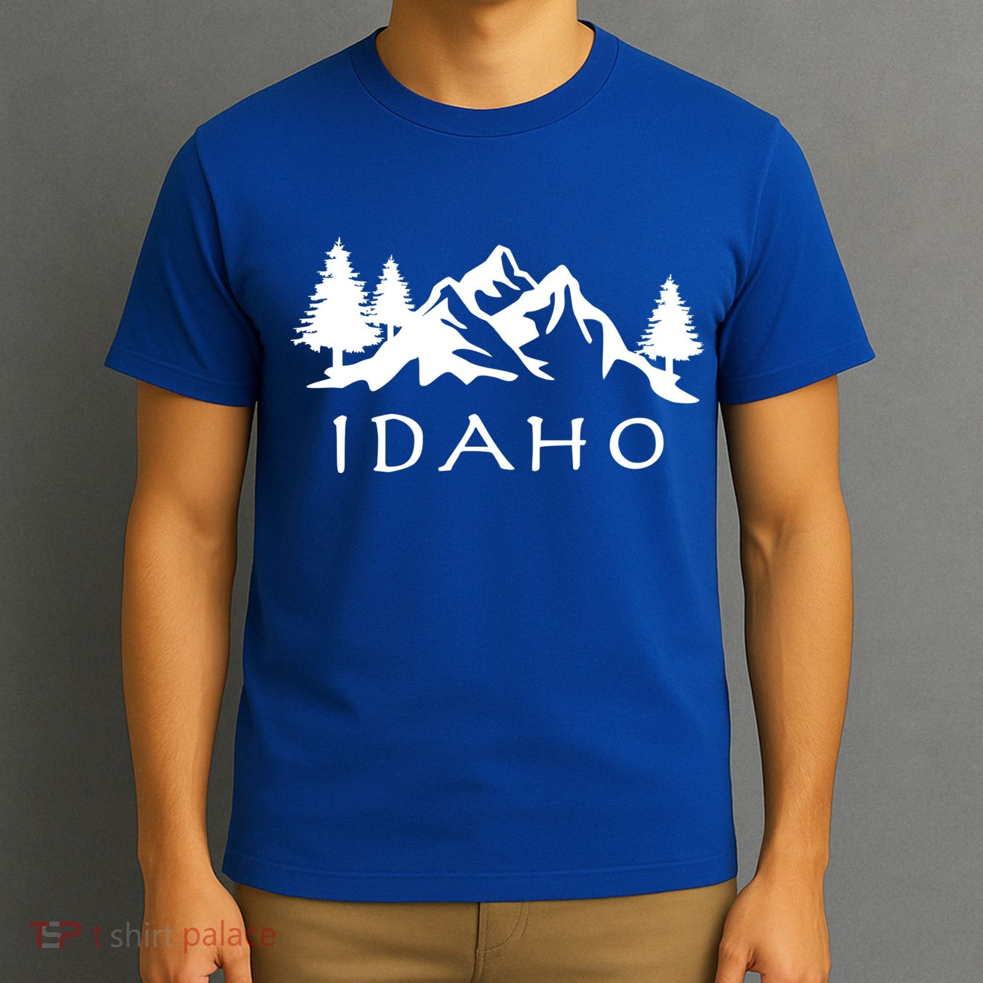 Idaho Cool Gift T-Shirt