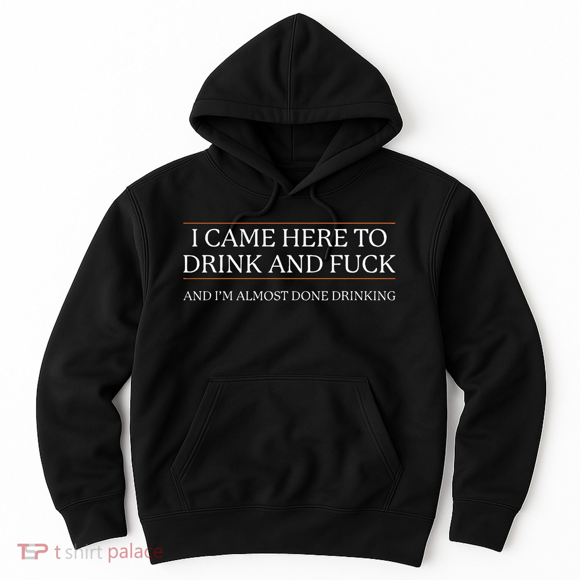I Came Here To Drink And Fuck Almost Done Drinking Hoodie
