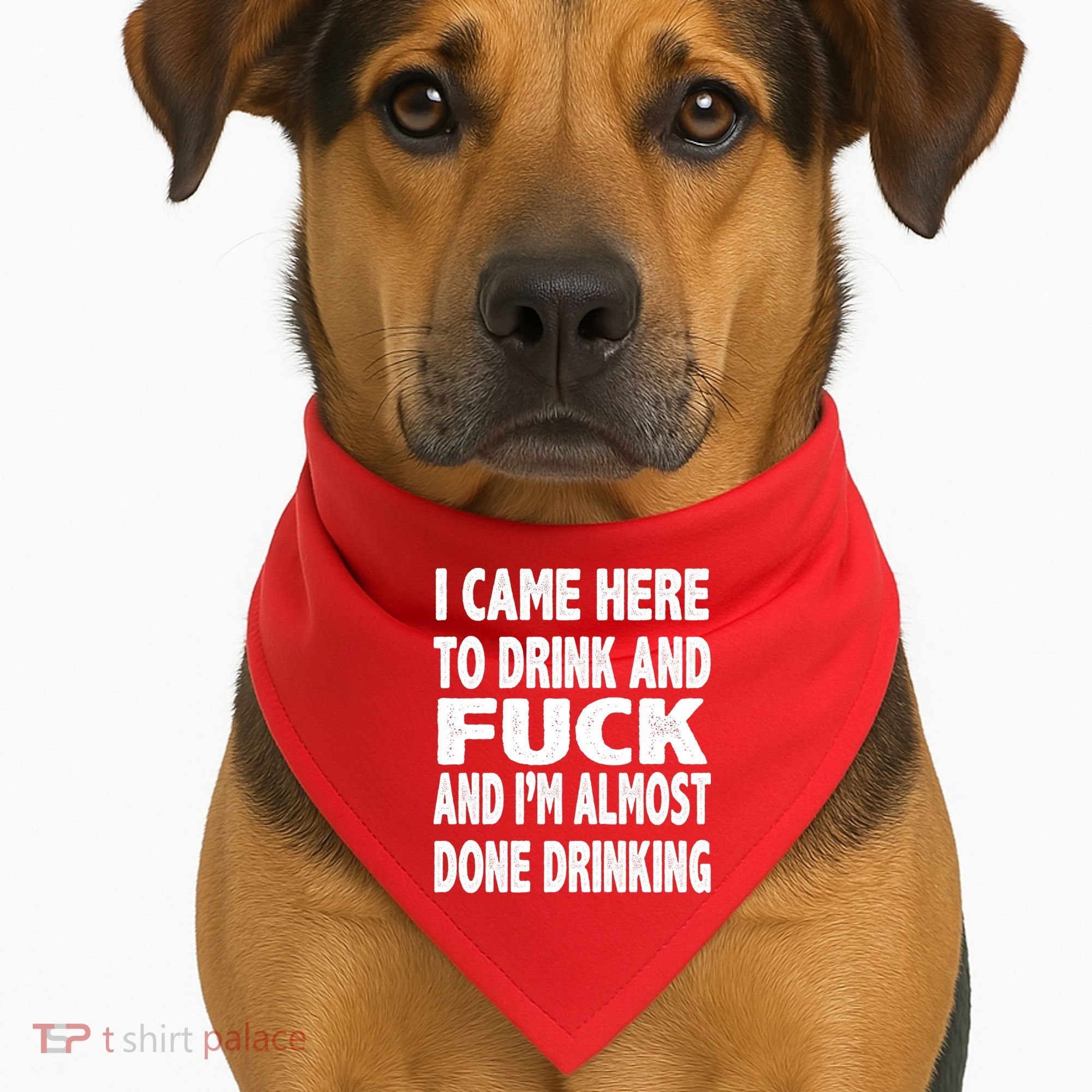 I Came Here To Drink And Fuck And I’M Almost Done Drinking USA-Made Doggie Bandana