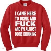 I Came Here To Drink And Fuck And I’M Almost Done Drinking Kids Sweatshirt thumb 0
