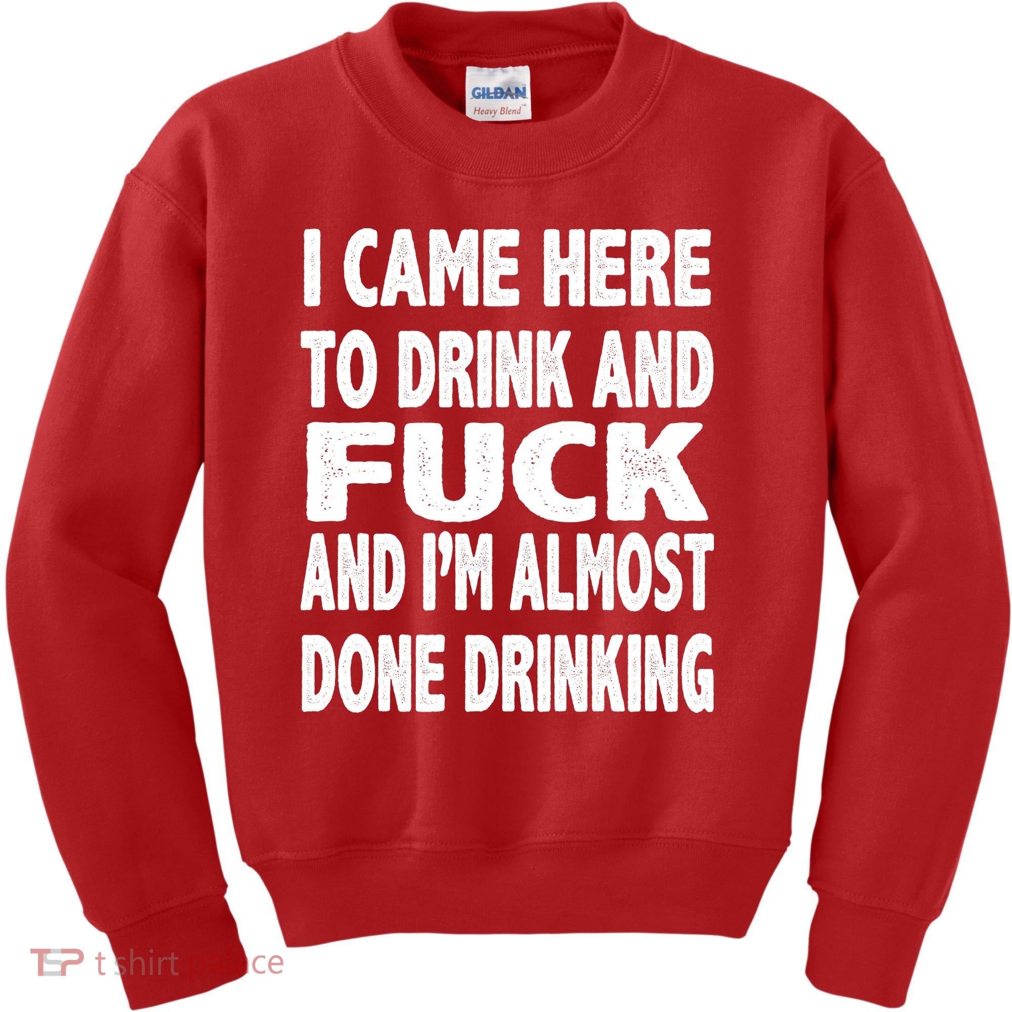 I Came Here To Drink And Fuck And I’M Almost Done Drinking Kids Sweatshirt