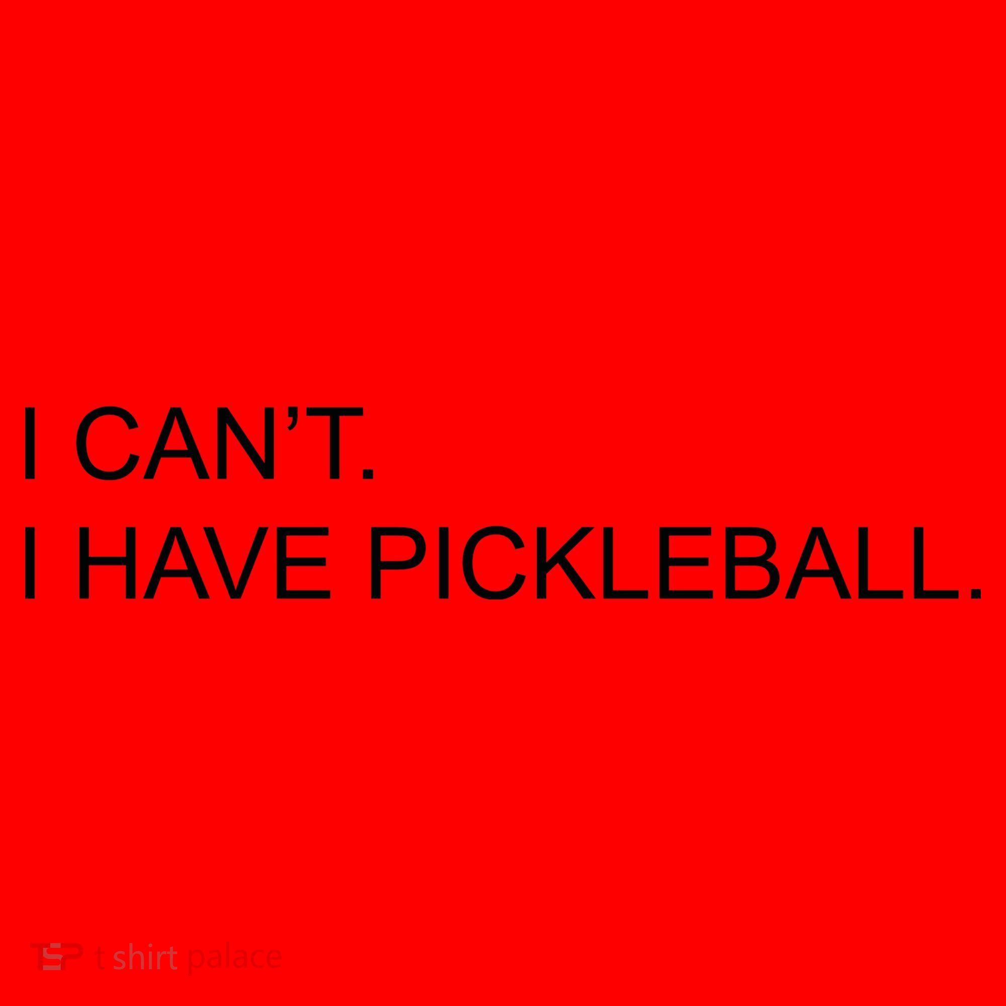 I Can't I Have Pickleball Santa Hat
