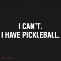 I CanT I Have Pickleball Funny Slogan Gift Women's Hoodie thumb 2