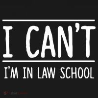 I Cant Im In Law School Student Future Attorney Women's Hoodie thumb 2