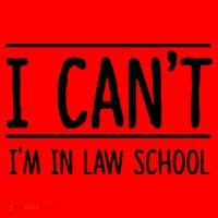 I Cant Im In Law School Student Future Attorney Santa Hat thumb 1
