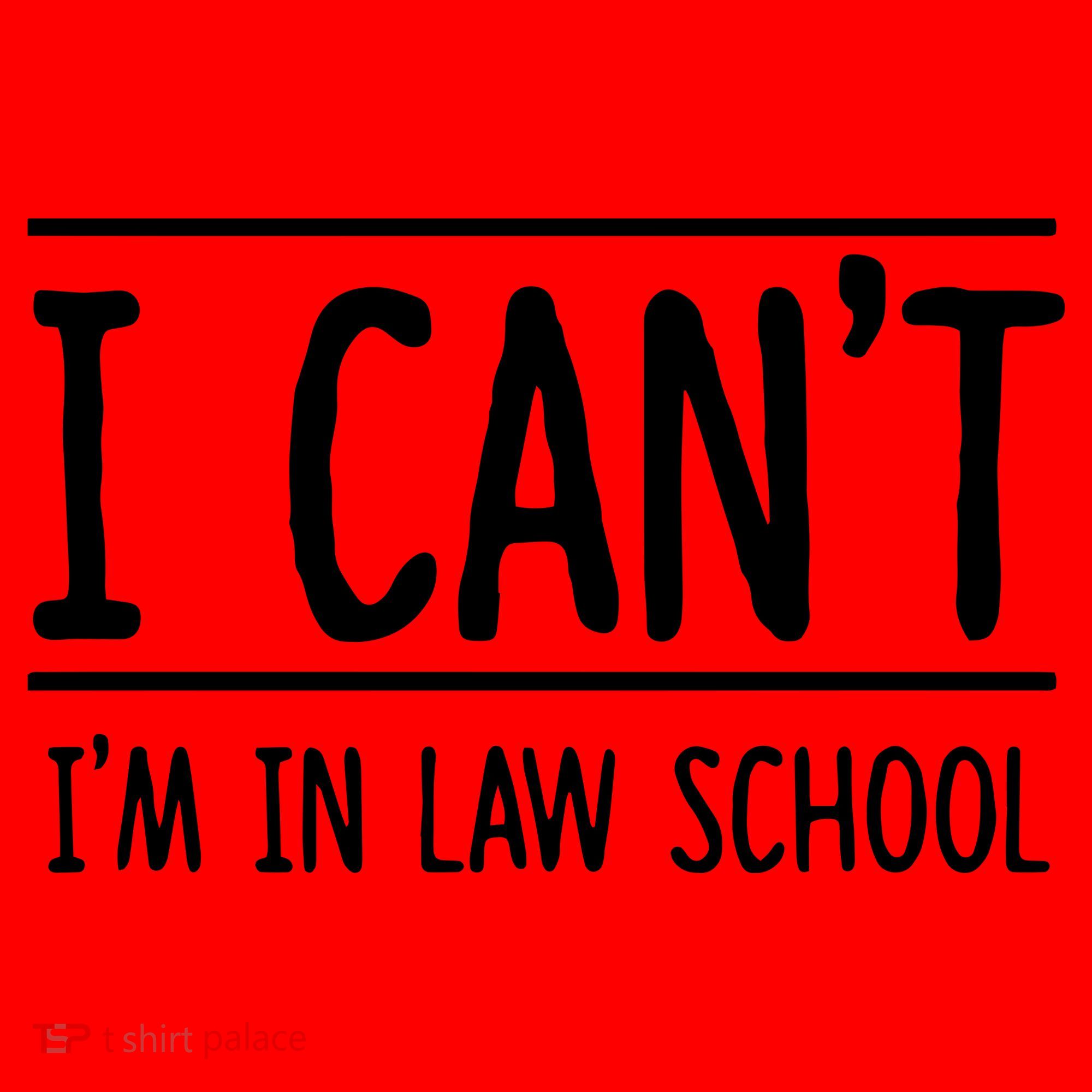 I Cant Im In Law School Student Future Attorney Santa Hat