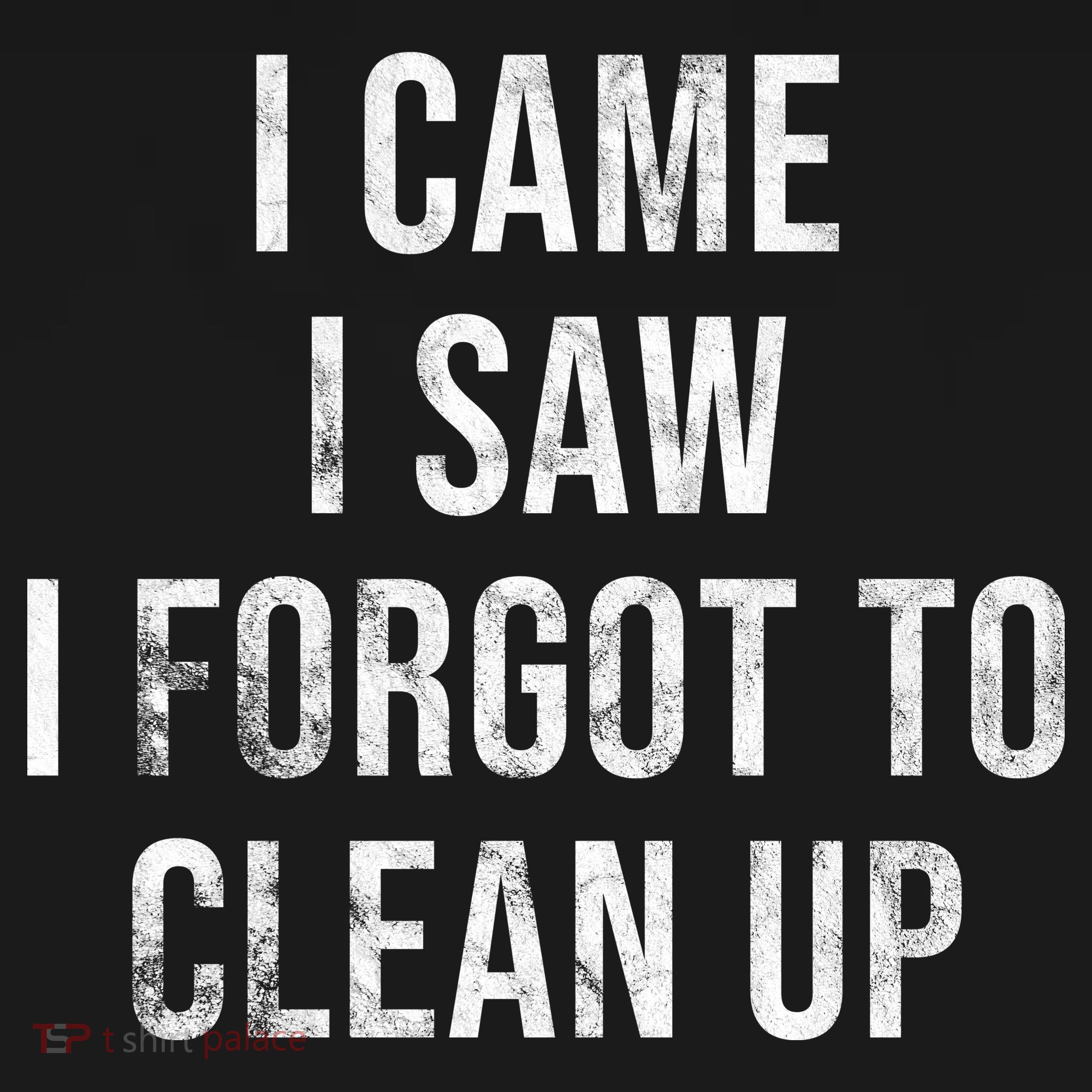 I Came I Saw I Forgot To Clean Up Funny Ornament