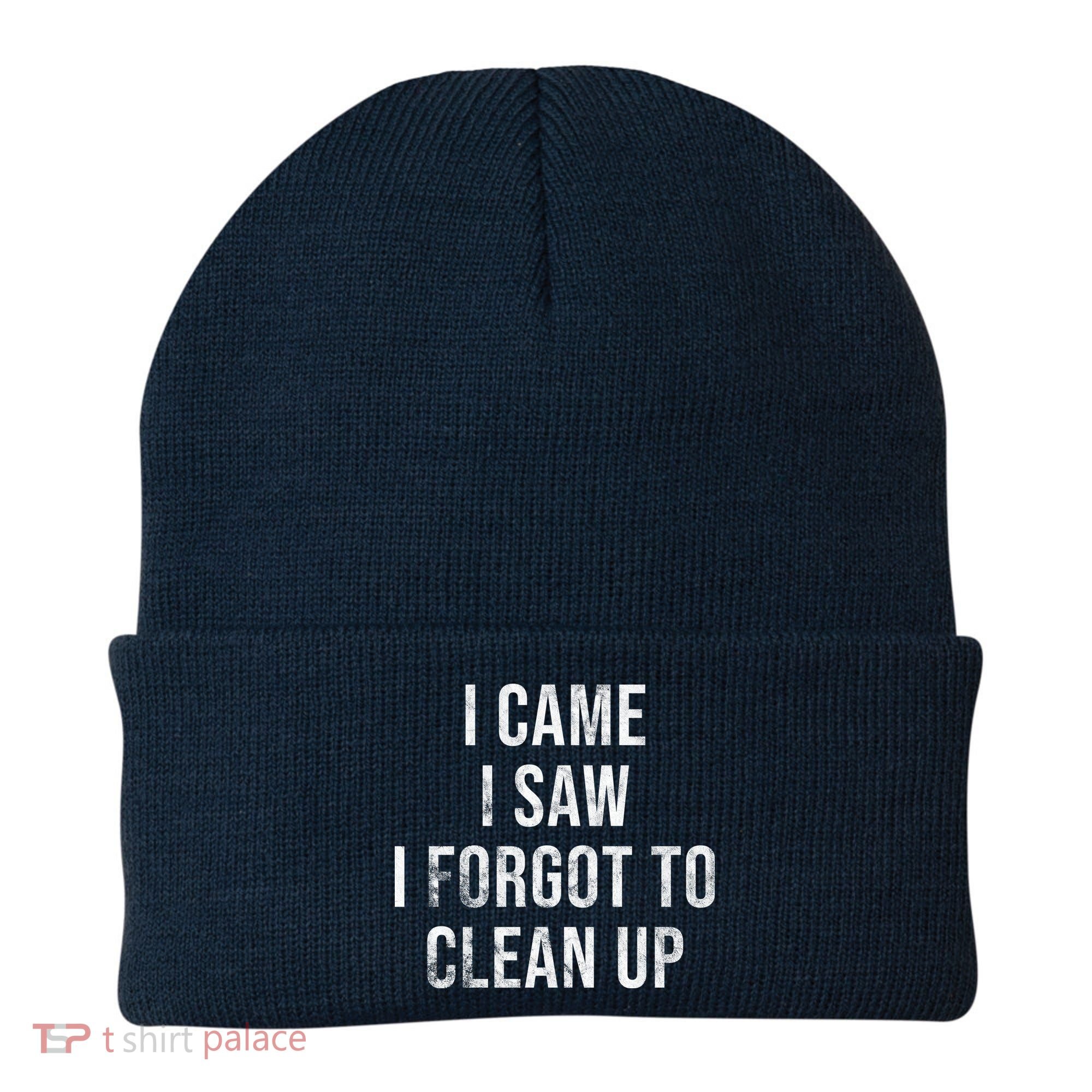 I Came I Saw I Forgot To Clean Up Funny Beanie