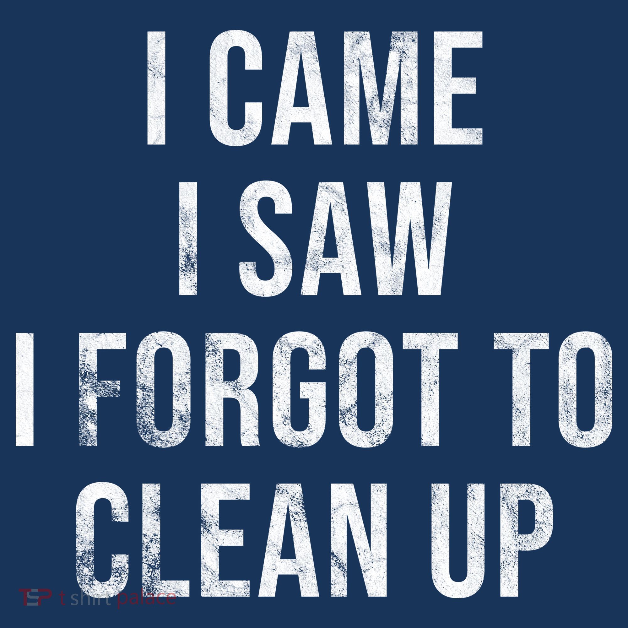 I Came I Saw I Forgot To Clean Up Funny Women's Tank Top