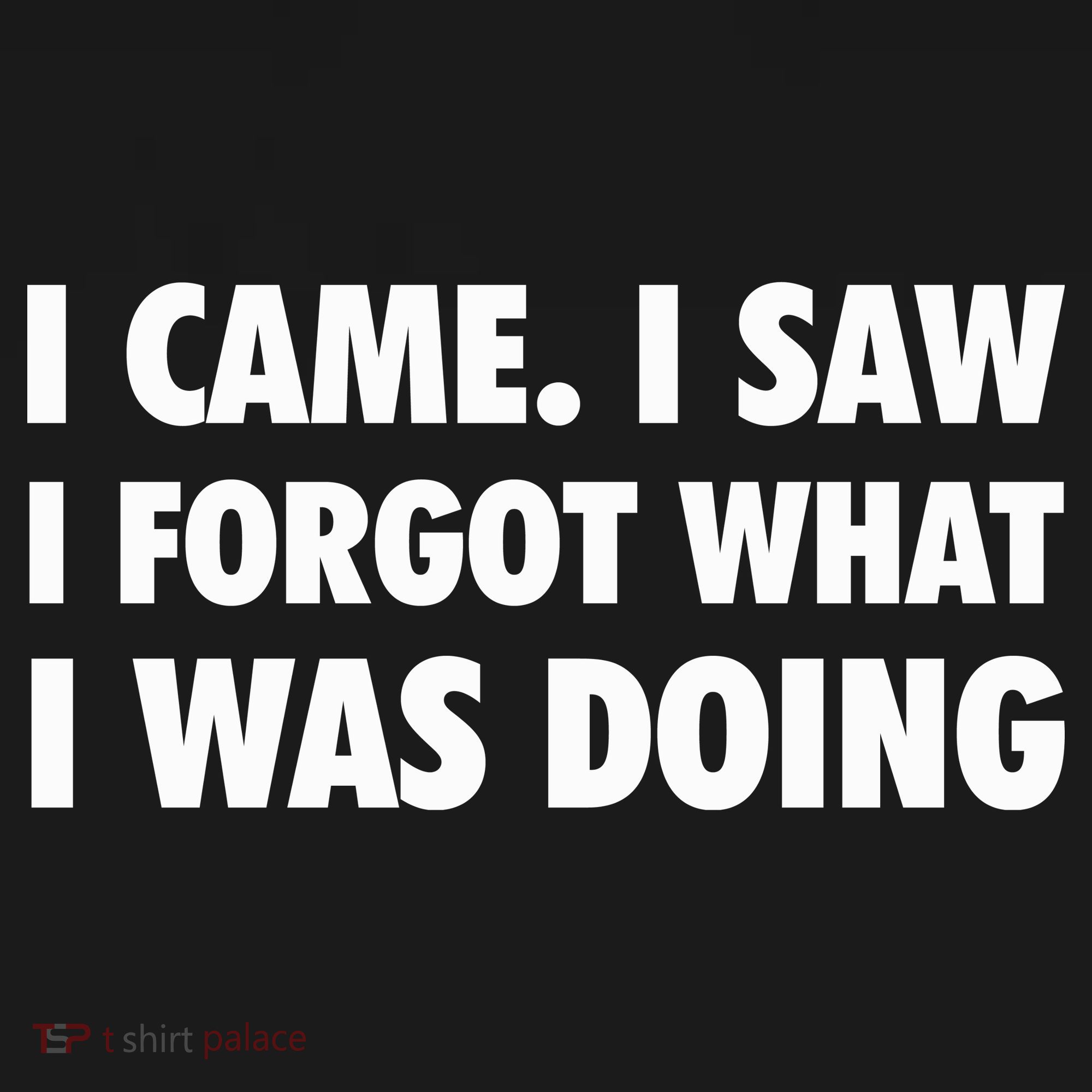 I Came I Saw I Forgot What I Was Doing Sarcastic Baby Long Sleeve Bodysuit