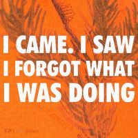 I Came I Saw I Forgot What I Was Doing Sarcastic Kati Licensed 12" Camo Cuffed Beanie thumb 2