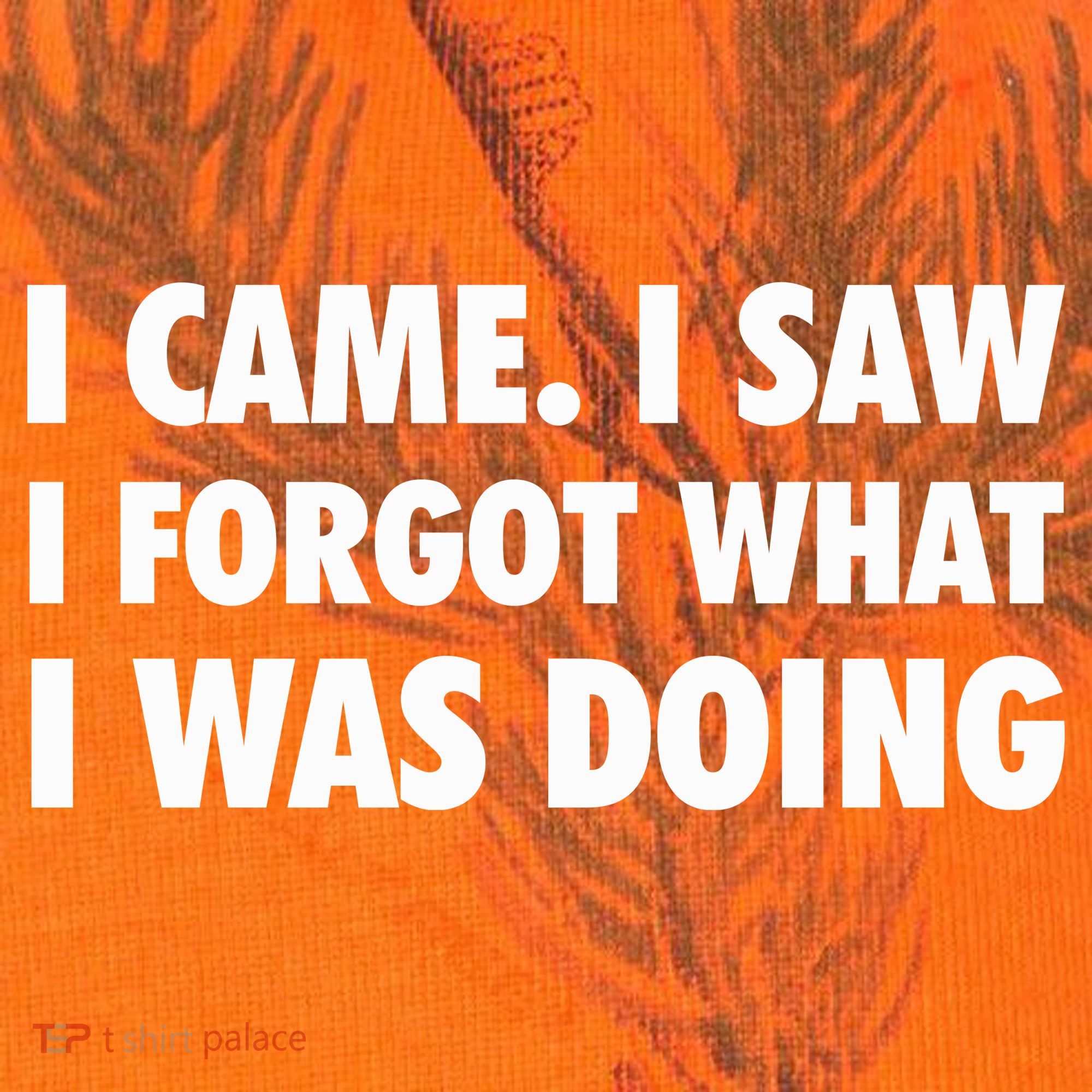I Came I Saw I Forgot What I Was Doing Sarcastic Kati Licensed 12" Camo Cuffed Beanie