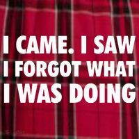 I Came I Saw I Forgot What I Was Doing Sarcastic Women's Flannel Plaid Pajama Pants thumb 2