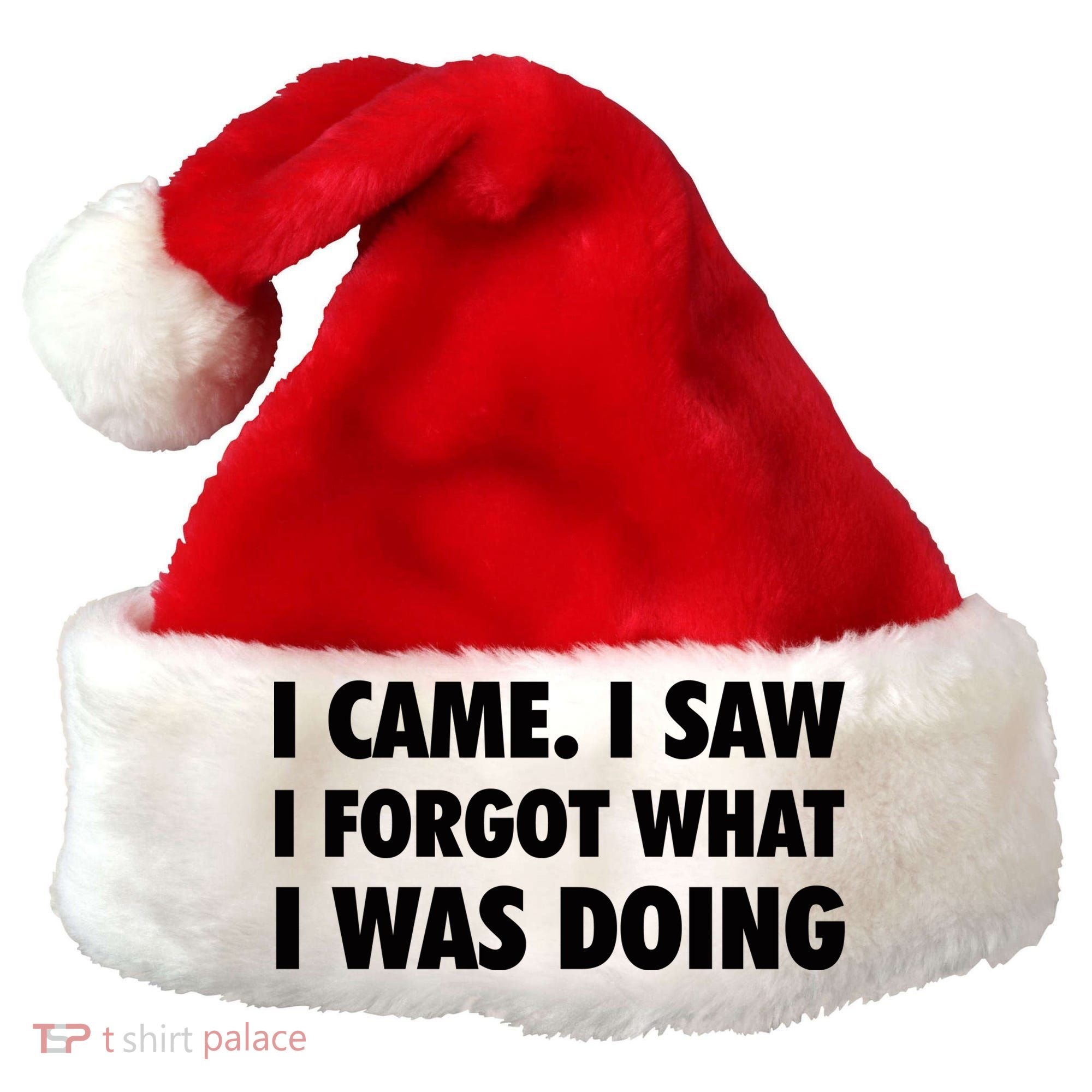 I Came I Saw I Forgot What I Was Doing Sarcastic Santa Hat