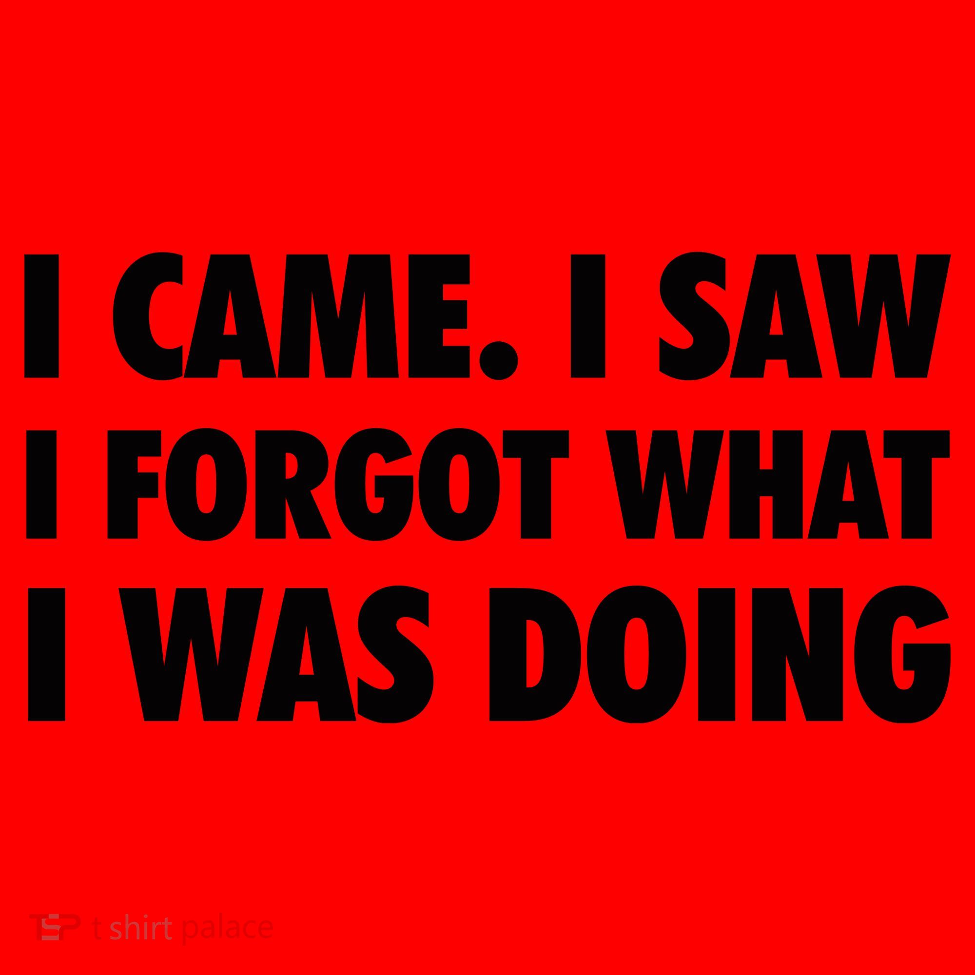 I Came I Saw I Forgot What I Was Doing Sarcastic Santa Hat