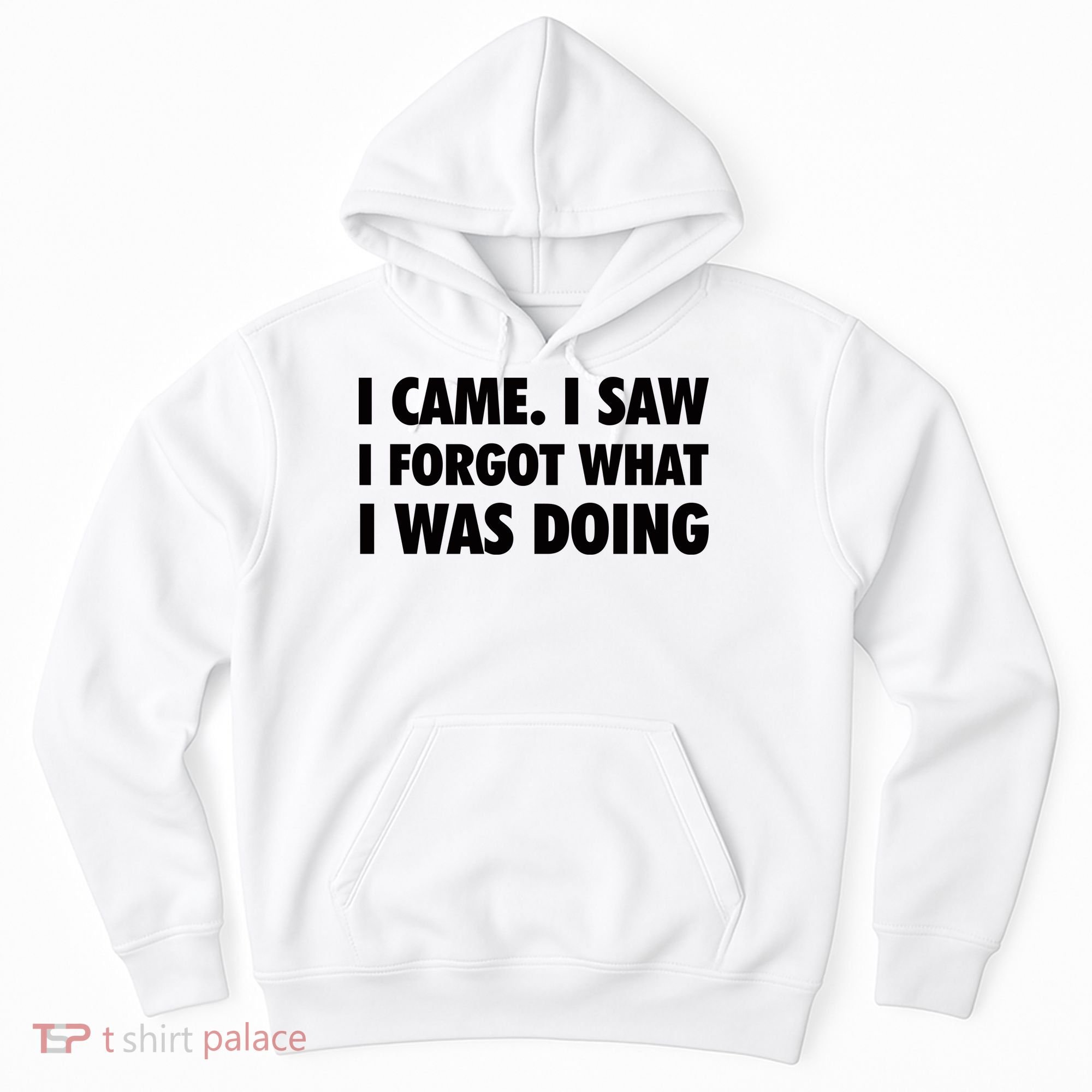 I Came I Saw I Forgot What I Was Doing Sarcastic Hoodie