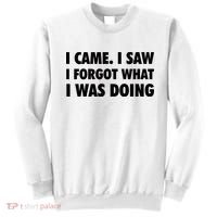 I Came I Saw I Forgot What I Was Doing Sarcastic Sweatshirt thumb 0