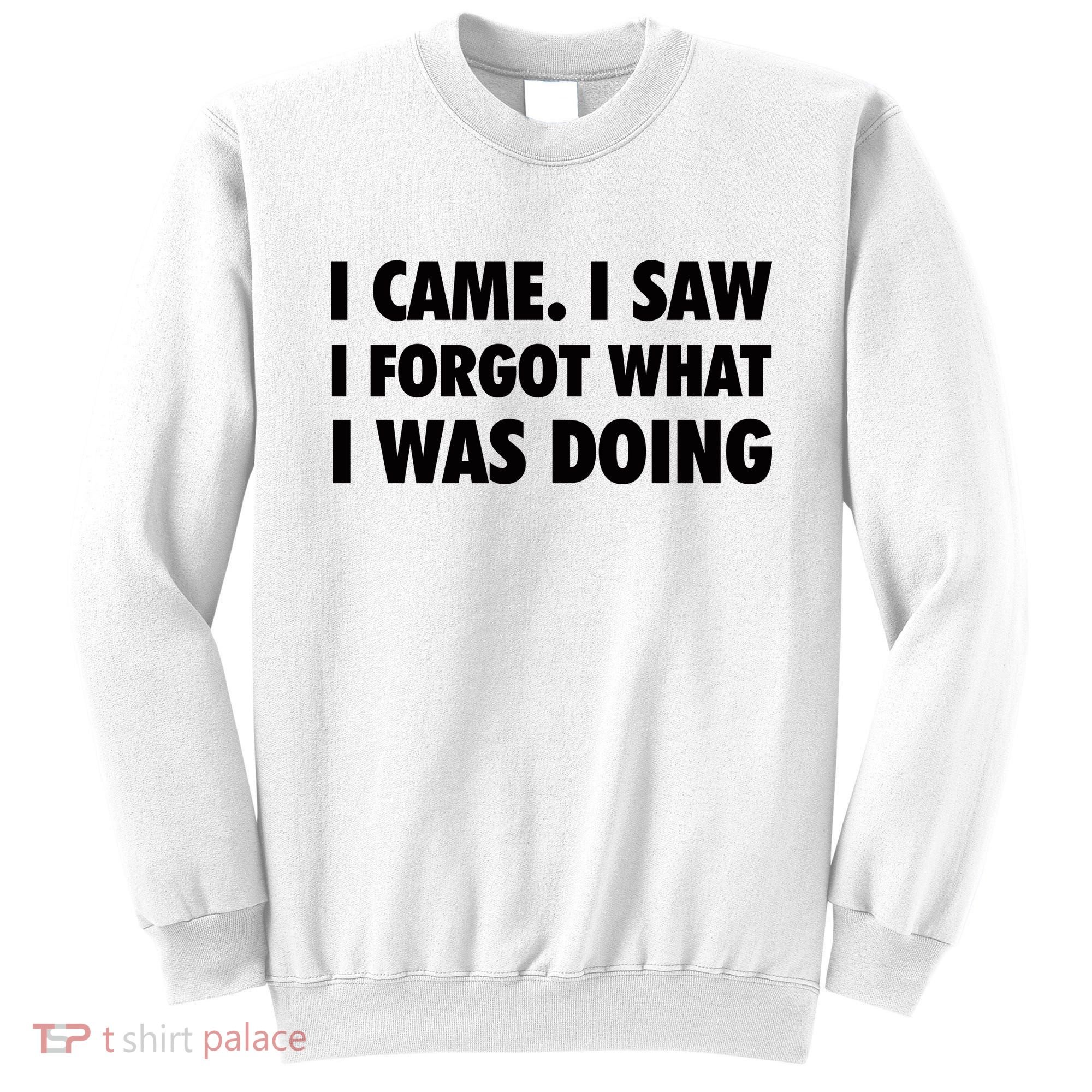 I Came I Saw I Forgot What I Was Doing Sarcastic Sweatshirt