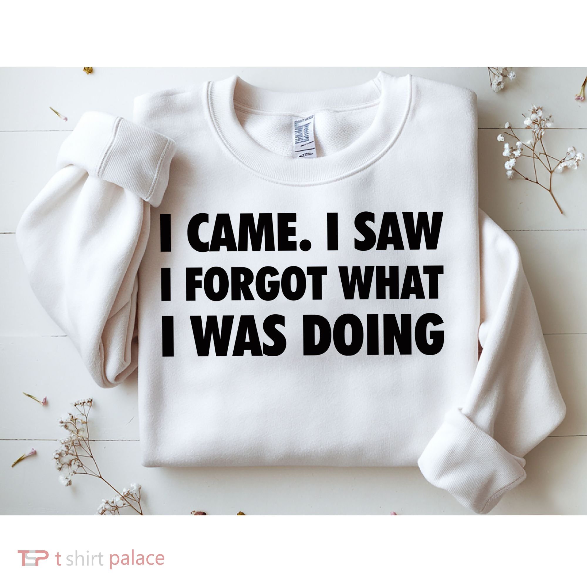 I Came I Saw I Forgot What I Was Doing Sarcastic Sweatshirt