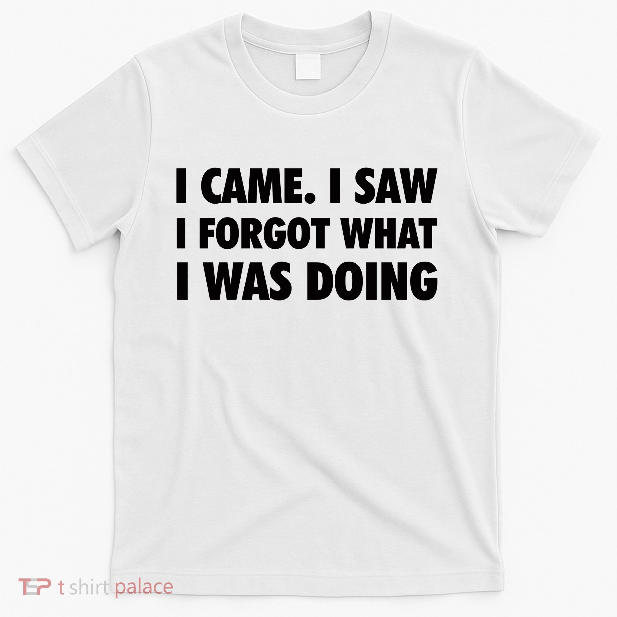 I Came I Saw I Forgot What I Was Doing Sarcastic T-Shirt
