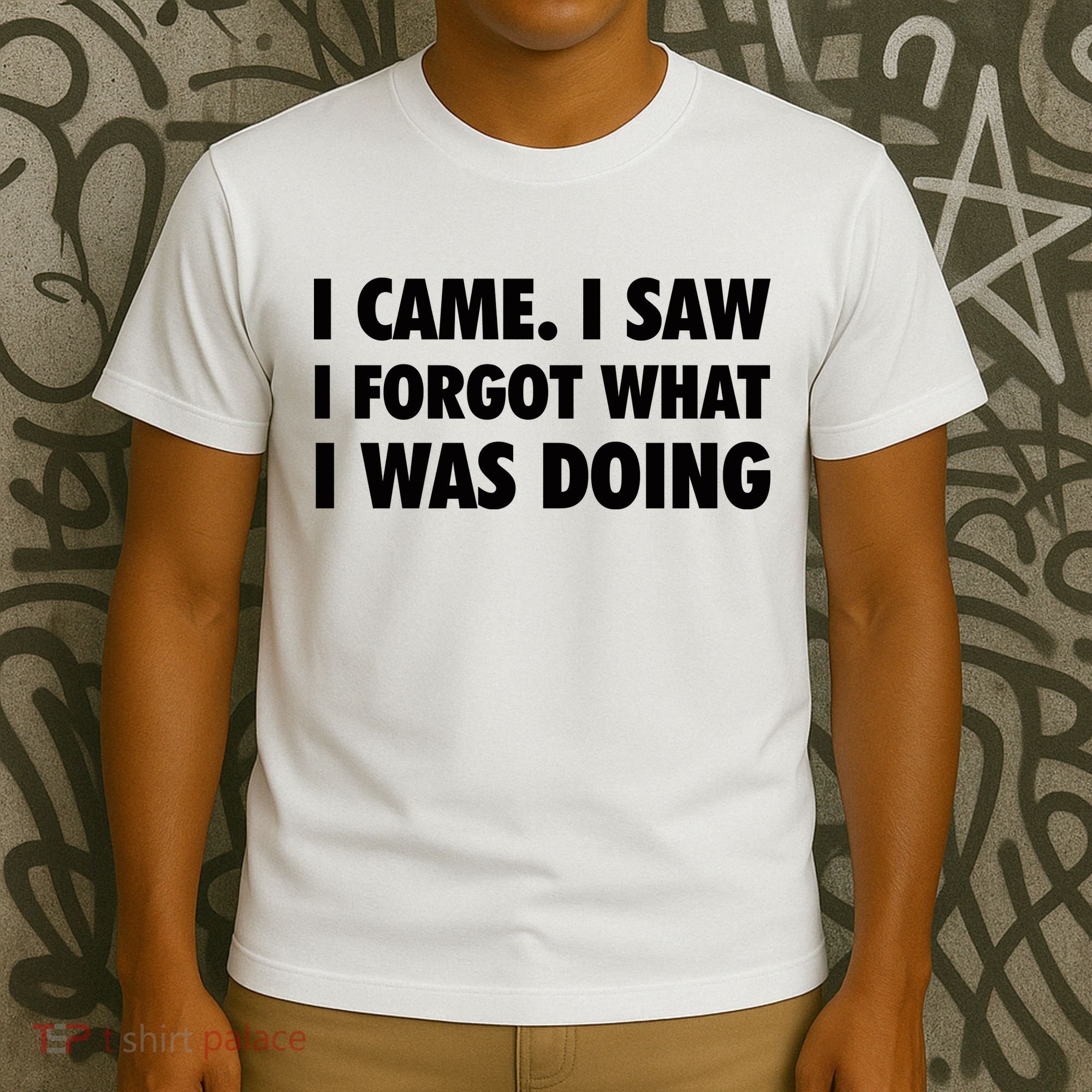 I Came I Saw I Forgot What I Was Doing Sarcastic T-Shirt