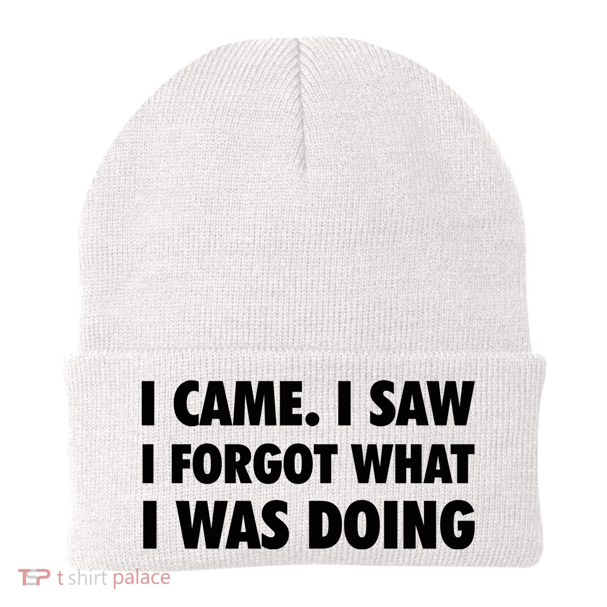 I Came I Saw I Forgot What I Was Doing Sarcastic Beanie