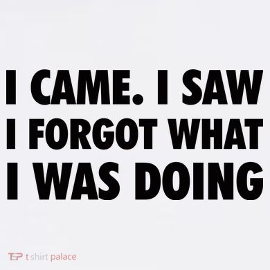 I Came I Saw I Forgot What I Was Doing Sarcastic Ornament