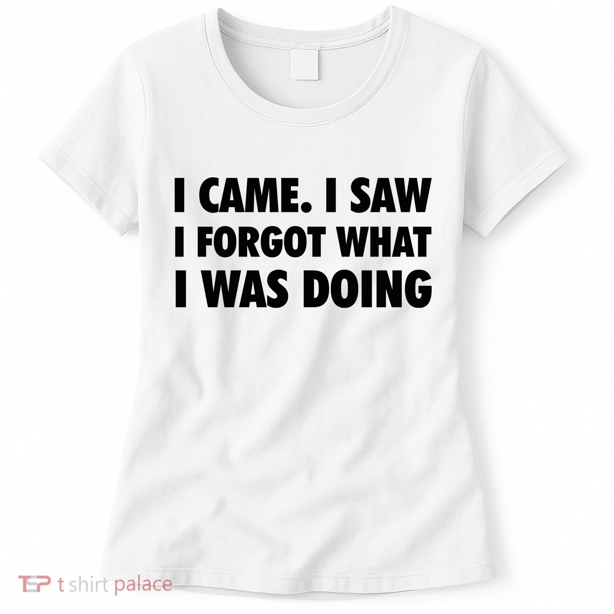 I Came I Saw I Forgot What I Was Doing Sarcastic Women's T-Shirt