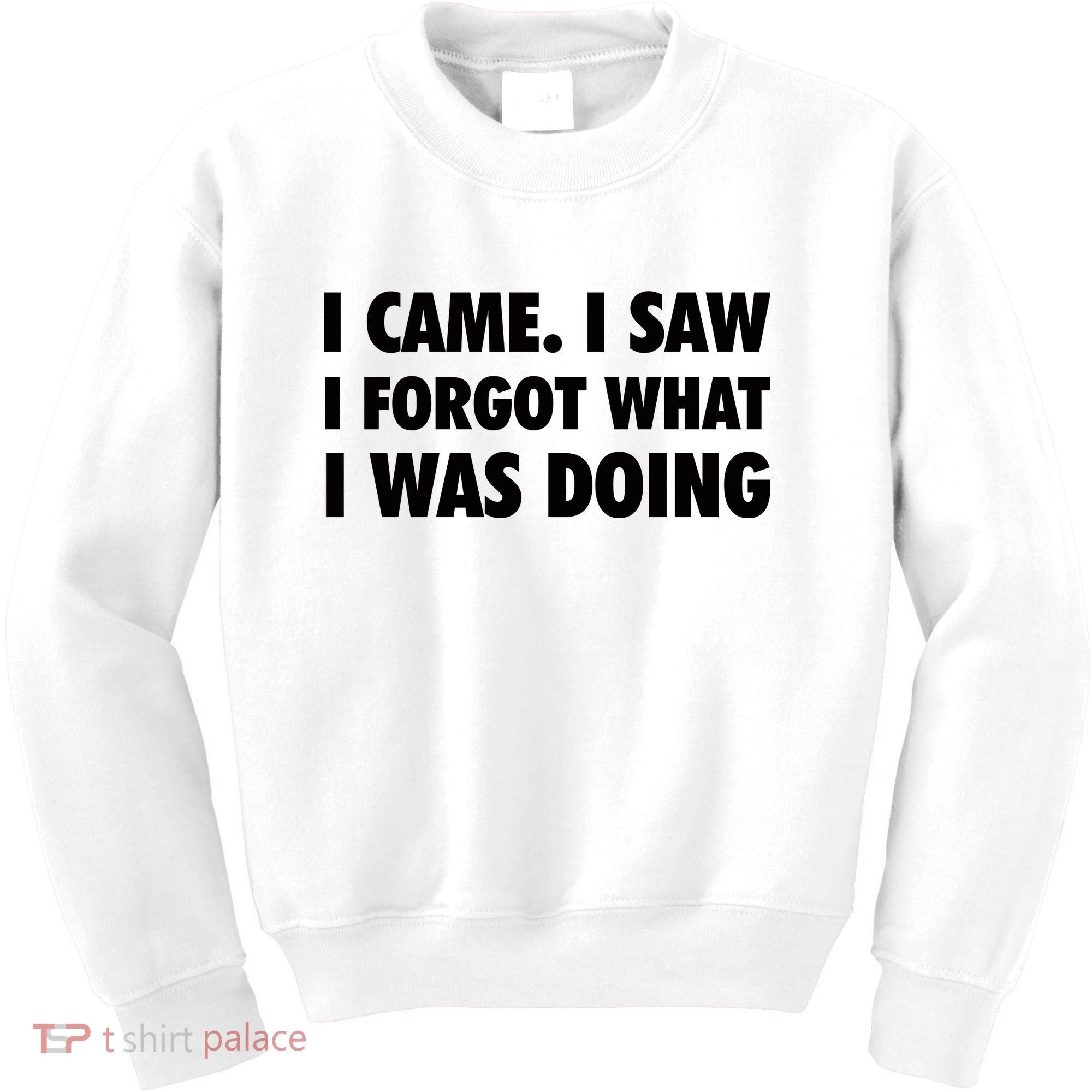 I Came I Saw I Forgot What I Was Doing Sarcastic Kids Sweatshirt