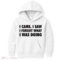 I Came I Saw I Forgot What I Was Doing Sarcastic Kids Hoodie thumb 0