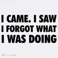 I Came I Saw I Forgot What I Was Doing Sarcastic Kids Hoodie thumb 5