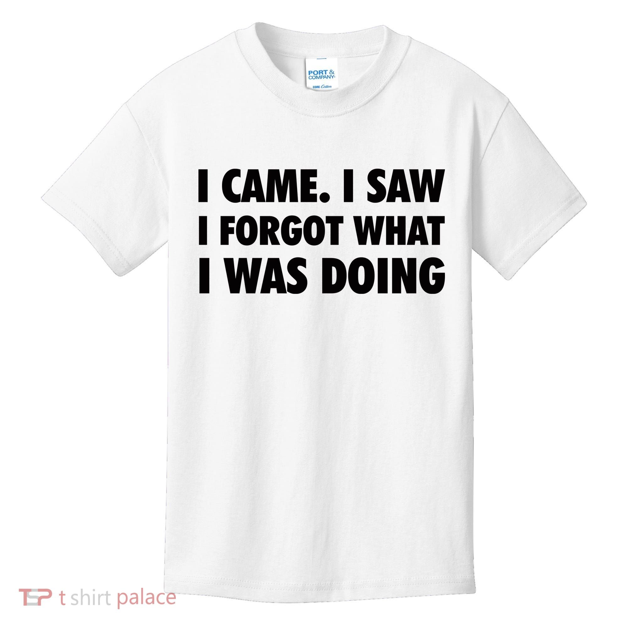 I Came I Saw I Forgot What I Was Doing Sarcastic Kids T-Shirt