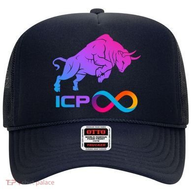 Internet Computer Icp Cryptocurrency Logo Bull Run Hat